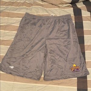 UAlbany Football Mesh Shorts